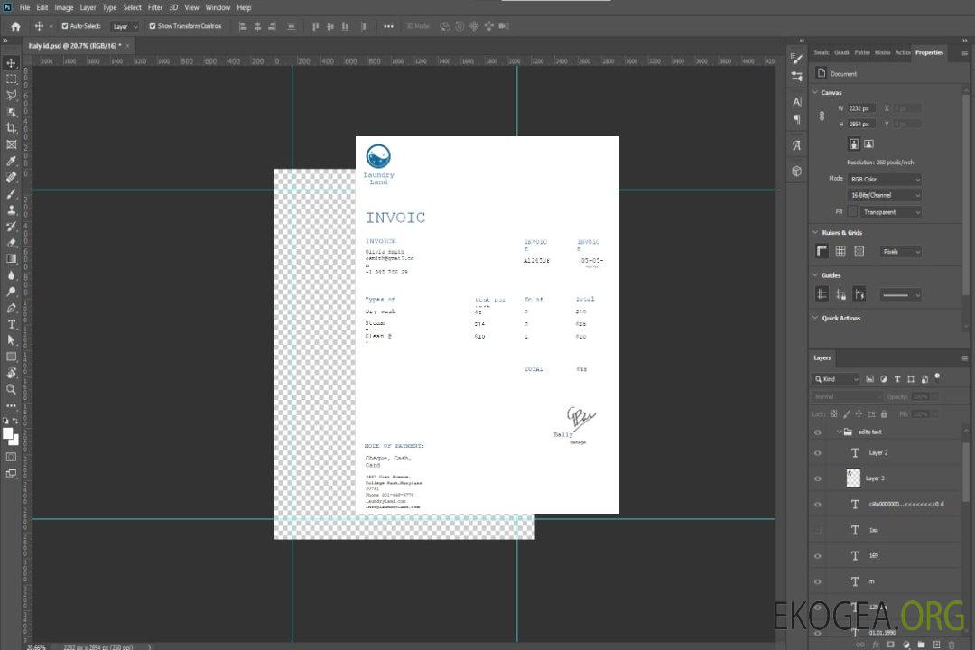 Modèle de facture de blanchisserie gratuit template